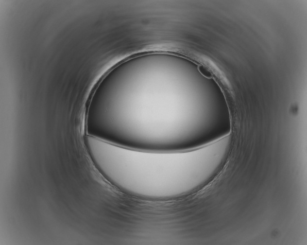 X0000095961276200801110937