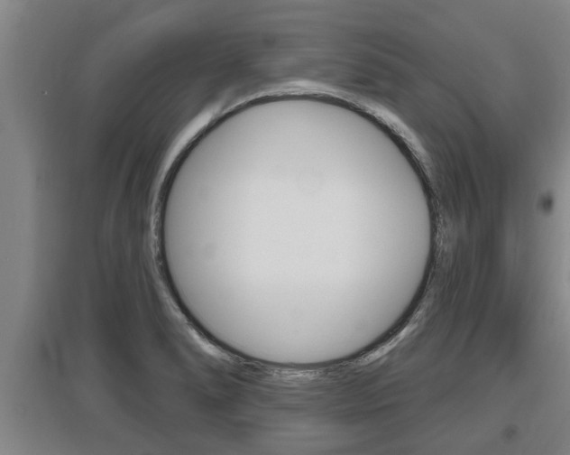 X0000095961278200801110937