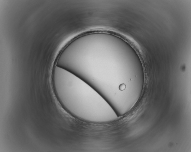 X0000095961279200801110937