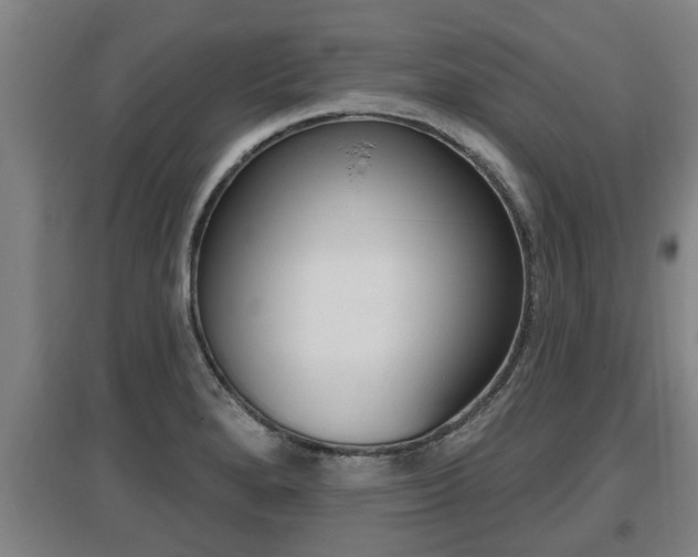 X0000095961280200801110937