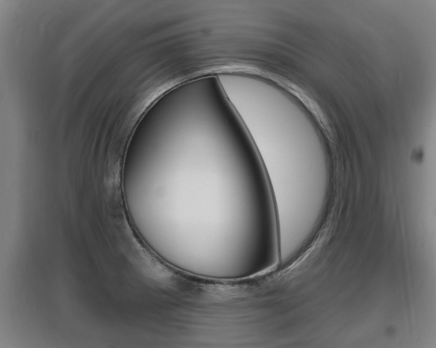 X0000095961281200801110937