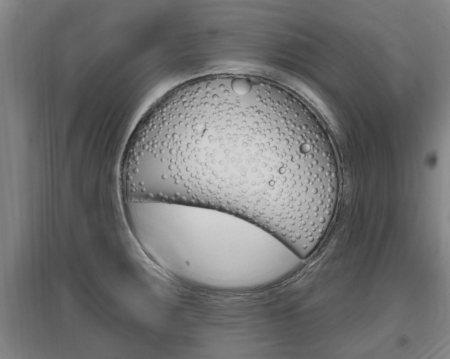 X0000095961283200801110937