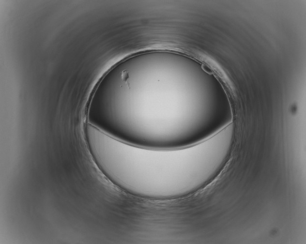 X0000095961284200801110937