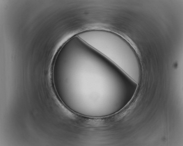 X0000095961285200801110937