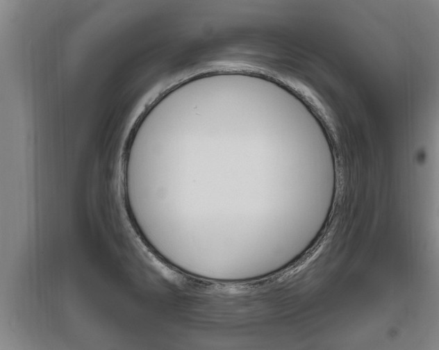X0000095961286200801110937