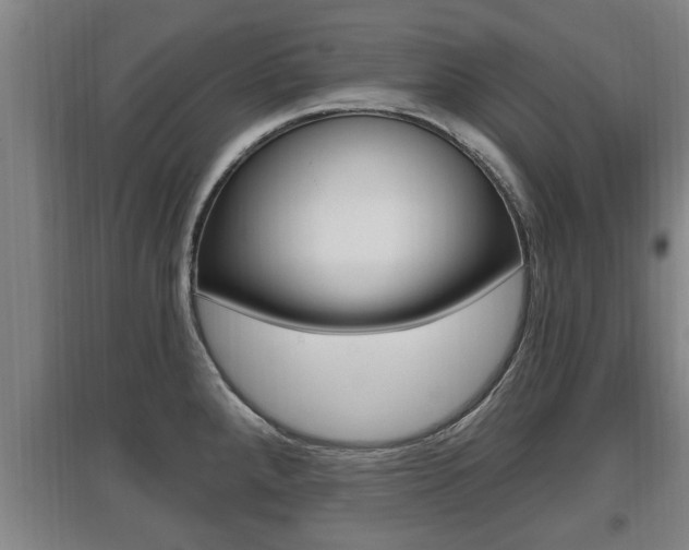 X0000095961288200801110937