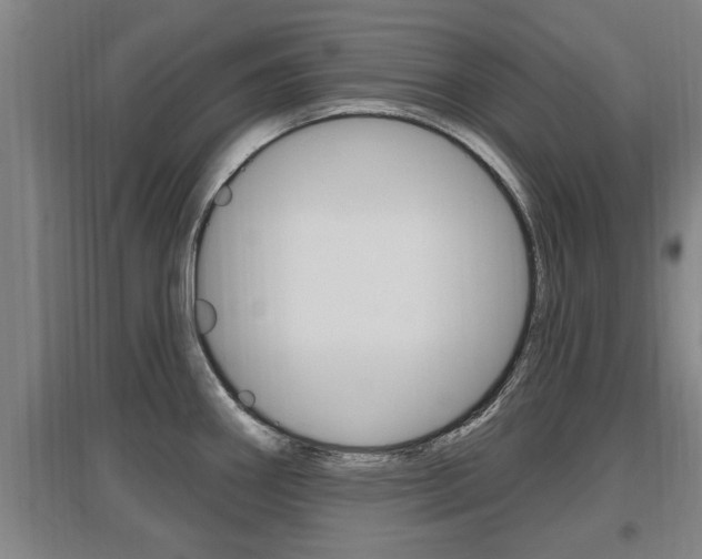 X0000095961290200801110937