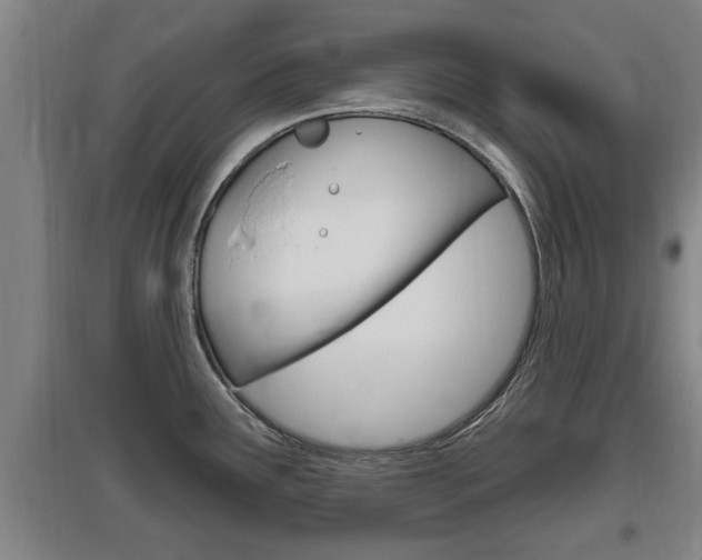 X0000095961291200801110937