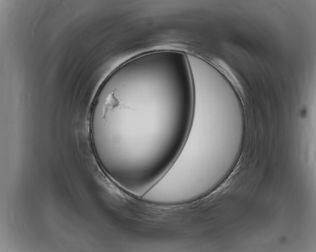X0000095961292200801110937