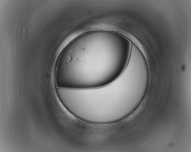 X0000095961293200801110937