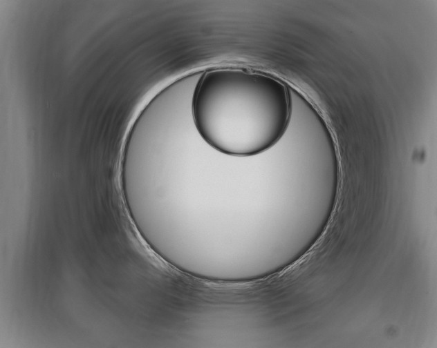X0000095961296200801110937