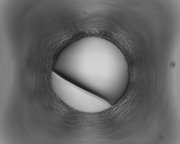 X0000095961297200801110936