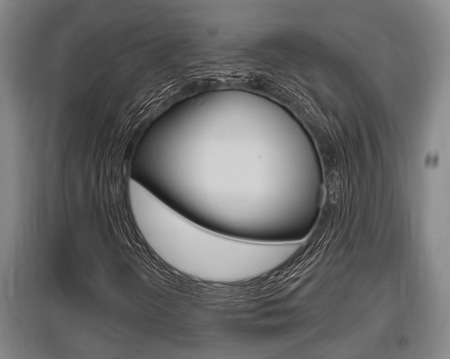 X0000095961298200801110936