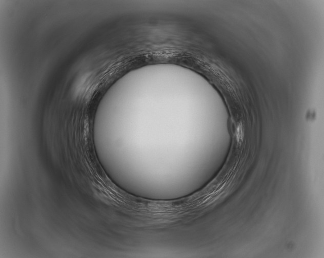 X0000095961299200801110936