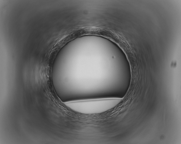 X0000095961301200801110937