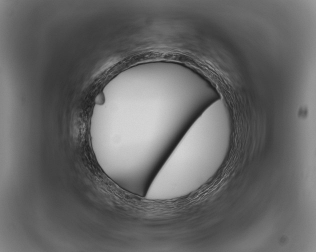 X0000095961302200801110937