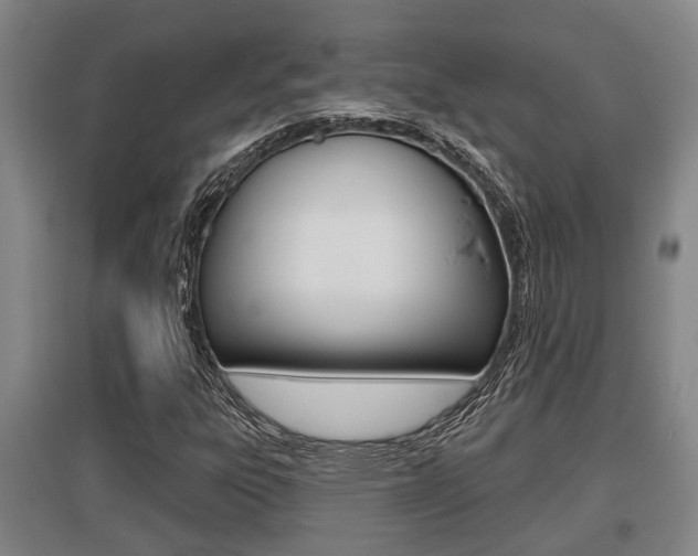 X0000095961303200801110937
