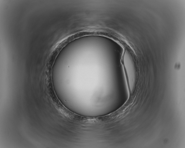 X0000095961304200801110937