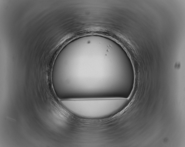 X0000095961305200801110937