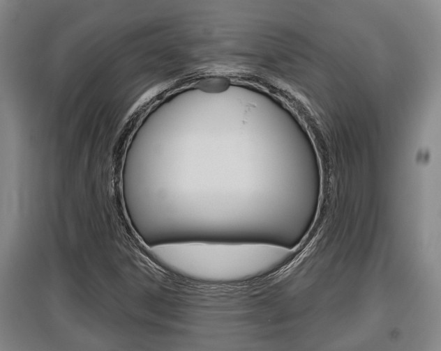 X0000095961306200801110937