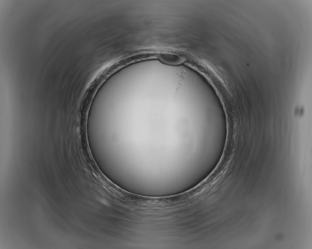 X0000095961307200801110937