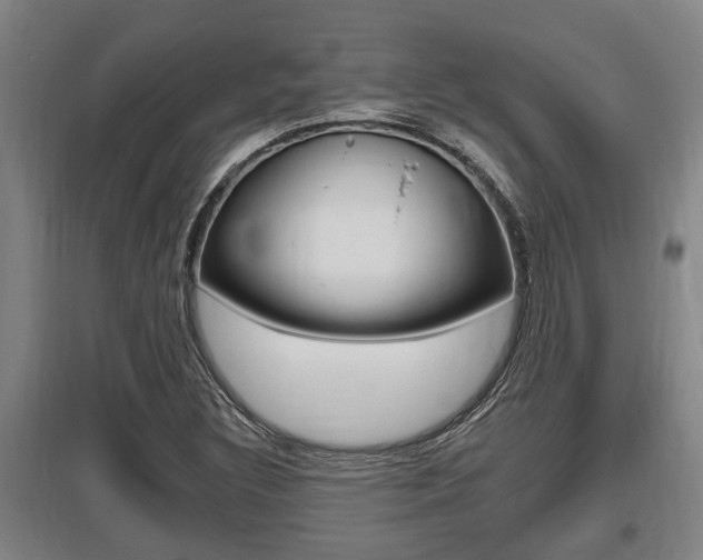 X0000095961308200801110937