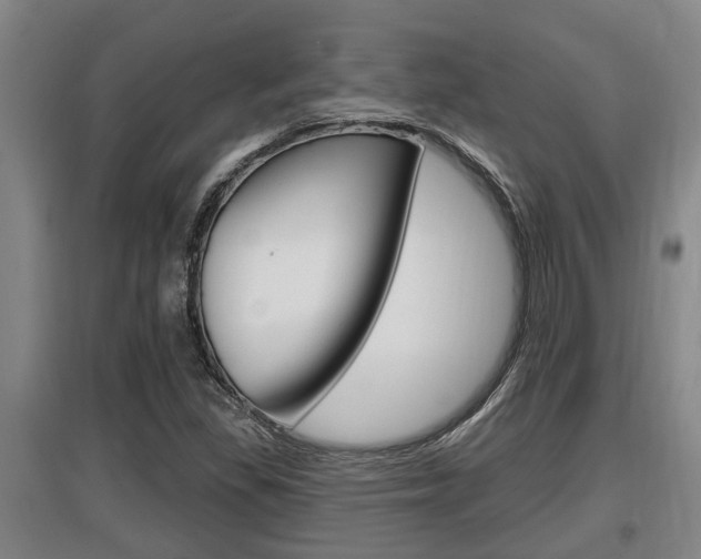 X0000095961309200801110937