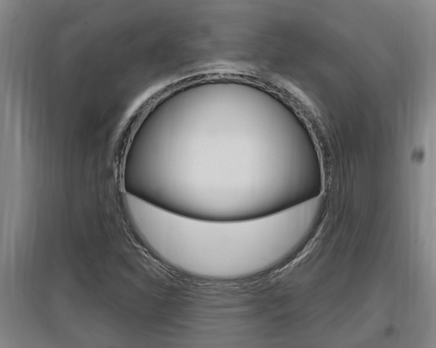 X0000095961310200801110937