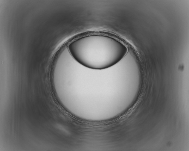 X0000095961311200801110937