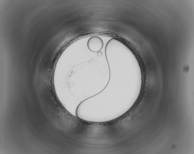 X0000095961314200801110937