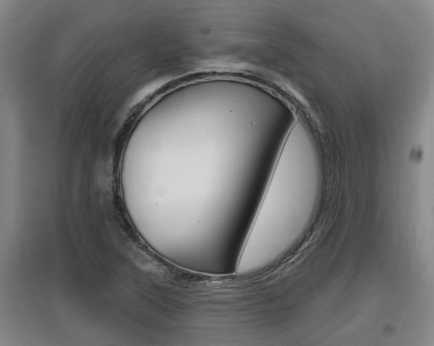 X0000095961315200801110937