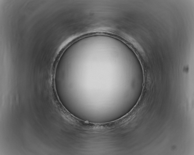 X0000095961316200801110937
