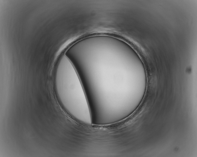 X0000095961317200801110937