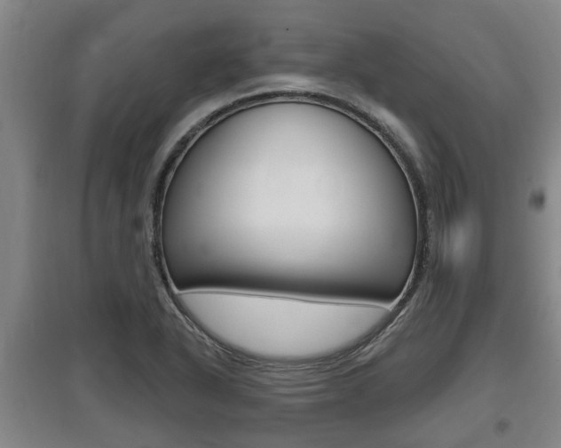 X0000095961318200801110937