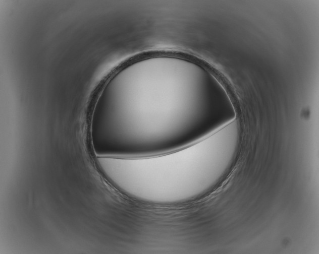 X0000095961319200801110937