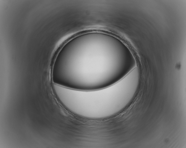 X0000095961320200801110937