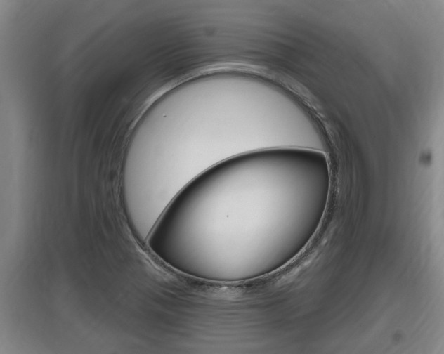 X0000095961321200801110937