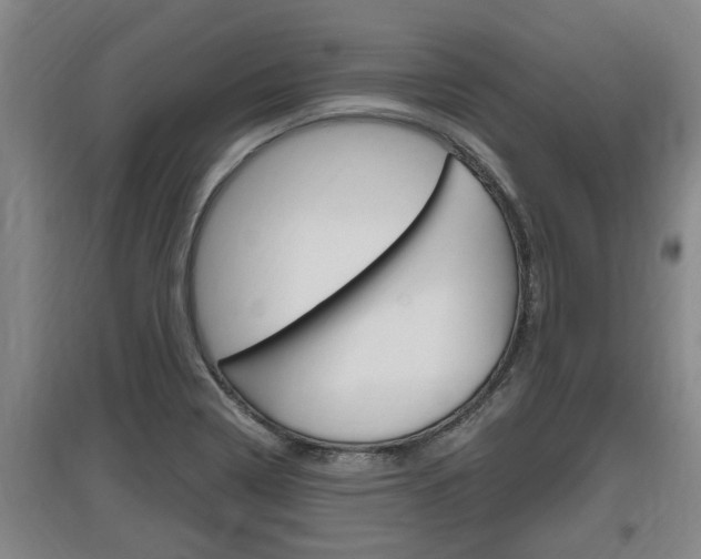 X0000095961322200801110937