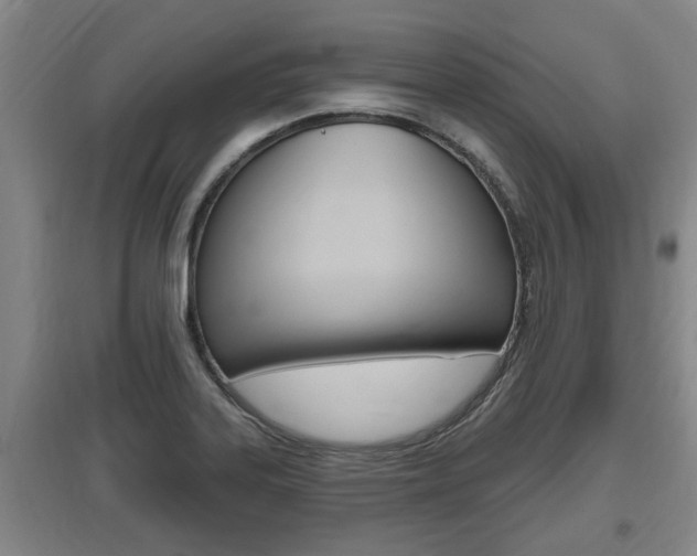 X0000095961323200801110937