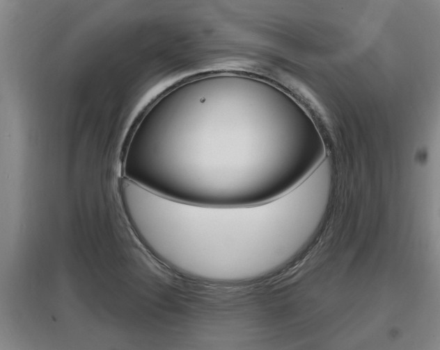X0000095961324200801110937