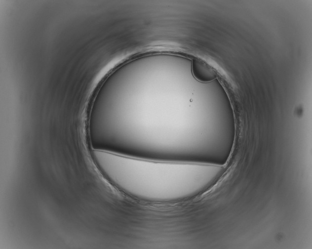 X0000095961325200801110937