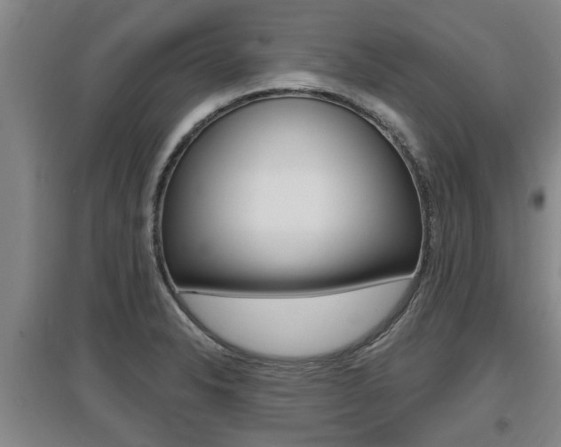 X0000095961326200801110937
