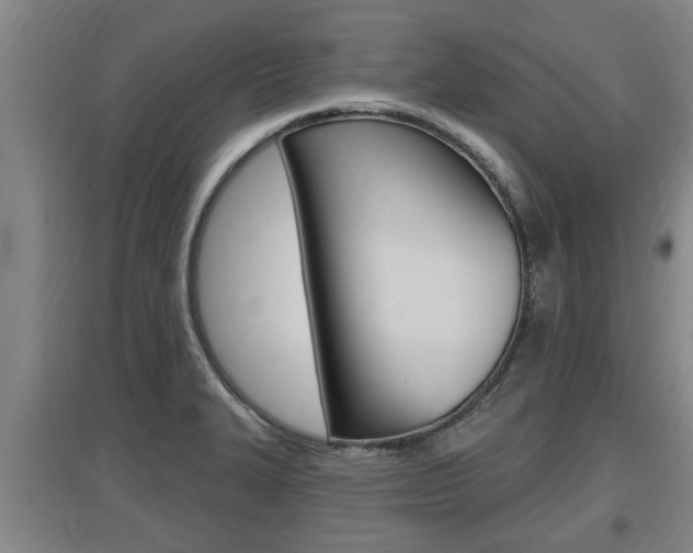 X0000095961327200801110937