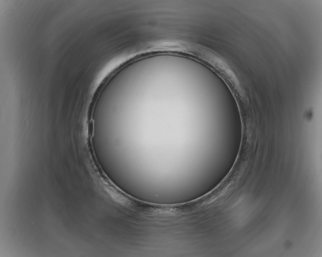 X0000095961328200801110937