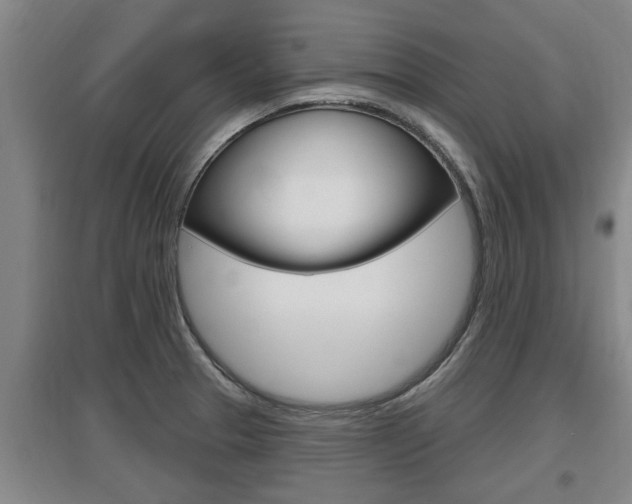 X0000095961329200801110937
