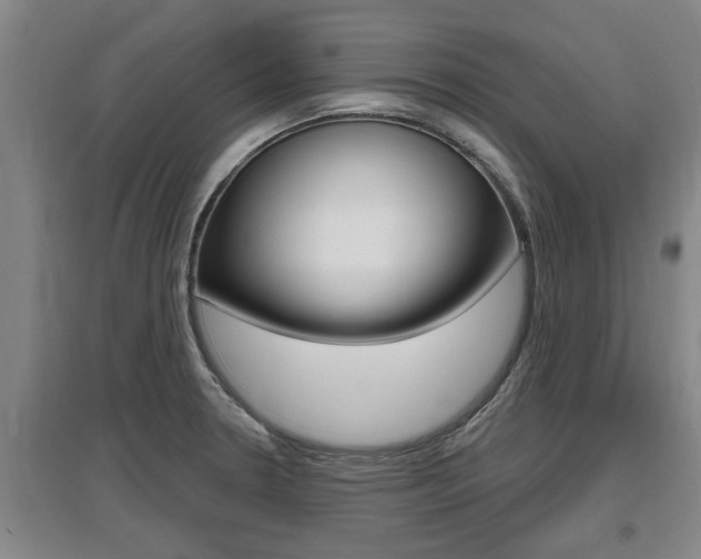 X0000095961330200801110937