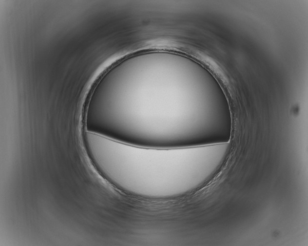 X0000095961331200801110937