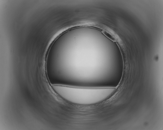 X0000095961332200801110937
