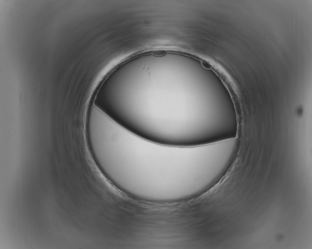 X0000095961333200801110937