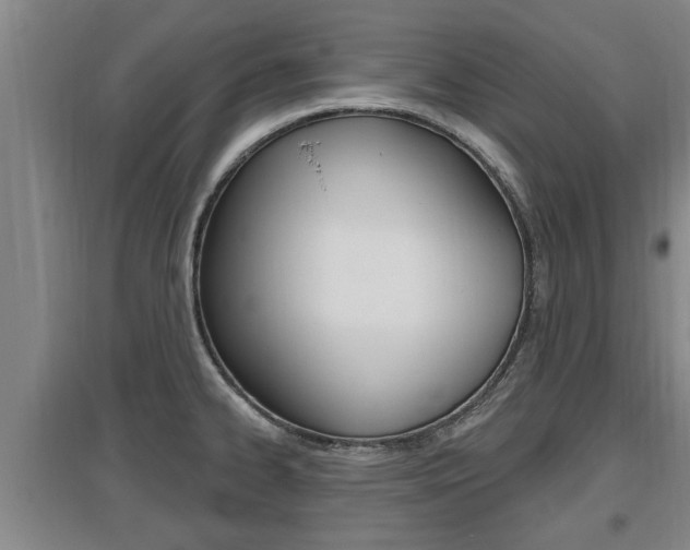 X0000095961334200801110937